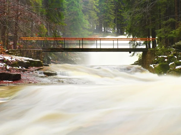 Mann mit Hund auf Brücke über aufgewühltem Wasser. Riesenstrom rauschender Wassermassen unter einer kleinen Fußgängerbrücke. Angst vor Überschwemmungen. Hoher Wasserfall im Wald — Stockfoto