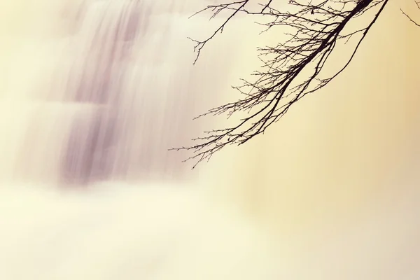 Branch boven snelle stroom met enorme van water. Berg rivier vol van modderig water. — Stockfoto