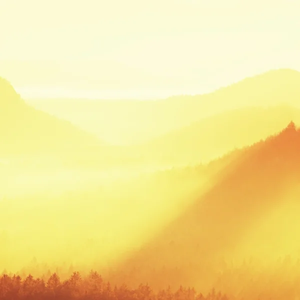 Paisaje de ensueño fogy, primavera naranja rosa nebuloso amanecer en un hermoso valle de Sajonia Suiza parque. Colinas oscuras y agudas aumentadas de niebla . — Foto de Stock