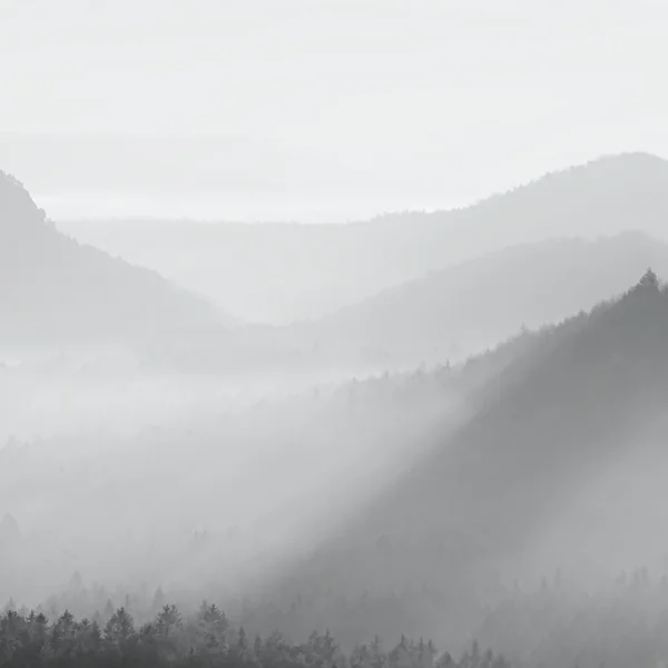 Herrliche nebelige landschaft, frühling orange rosa nebel sonnenaufgang in einem schönen tal der sächsischen schweiz park. Hügel aus Nebel verstärkt — Stockfoto