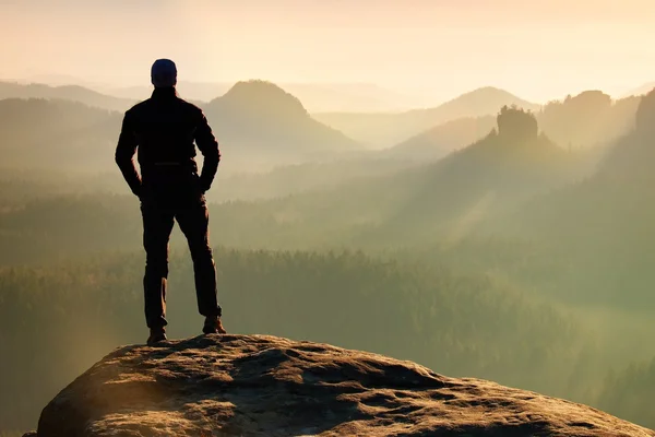 L'escursionista si trova sulla cima della roccia arenaria nel parco degli imperi rocciosi e osserva la nebbiosa e nebbiosa valle del mattino fino al Sole. Bellissimo momento il miracolo della natura — Foto Stock