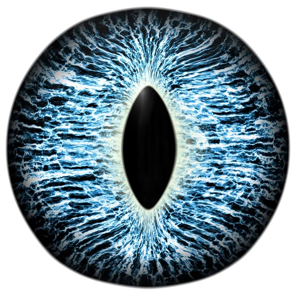 Olho azul estranho de animal felino com íris colorida. Vista detalhada no bulbo ocular isolado do predador — Fotografia de Stock