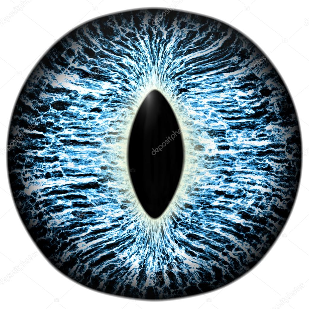 Strange blue eye of feline animal with colored iris. Detail view into isolated predator eye bulb