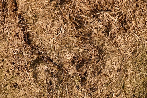 Starý kaz sklizené trávy ve velkých zelená vůně mohyla v rohu zahrady. Organické hnojivo. — Stock fotografie