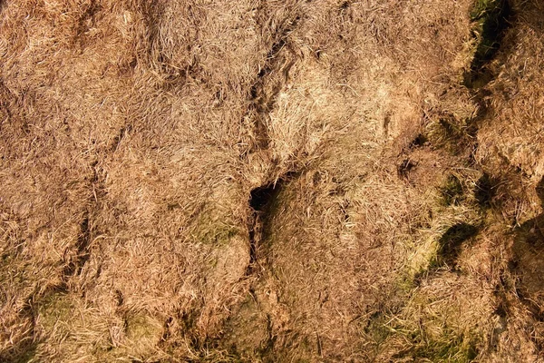 La caries vieja cosechaba la hierba en el montículo grande verde olfativo en la esquina del jardín. Abono orgánico . —  Fotos de Stock