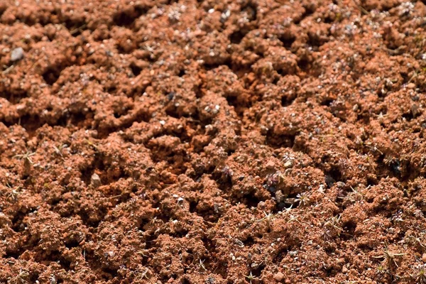 Antiguo rojo seco ladrillos triturados superficie en el campo de tenis al aire libre. Detalle de textura —  Fotos de Stock