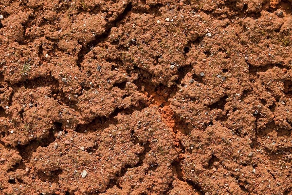 Vieilles briques broyées rouges sèches surface sur terrain de tennis extérieur. Détail de texture — Photo