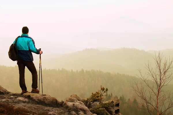 Turista em windcheater está subindo com pólos nas mãos para ponto de vista rochoso acima do vale nebuloso profundo. Amanhecer de primavera nebuloso em montanhas rochosas . — Fotografia de Stock