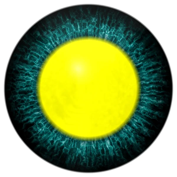 Ojo dorado con pupila abierta y retina de color amarillo brillante en el fondo. Iris de color oscuro alrededor de la pupila, vista de detalle en la bombilla del ojo . —  Fotos de Stock