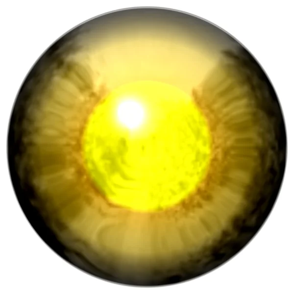 : Ojo dorado con pupila abierta y retina de color amarillo brillante en el fondo. Iris de color oscuro alrededor de la pupila, vista de detalle en la bombilla del ojo . —  Fotos de Stock