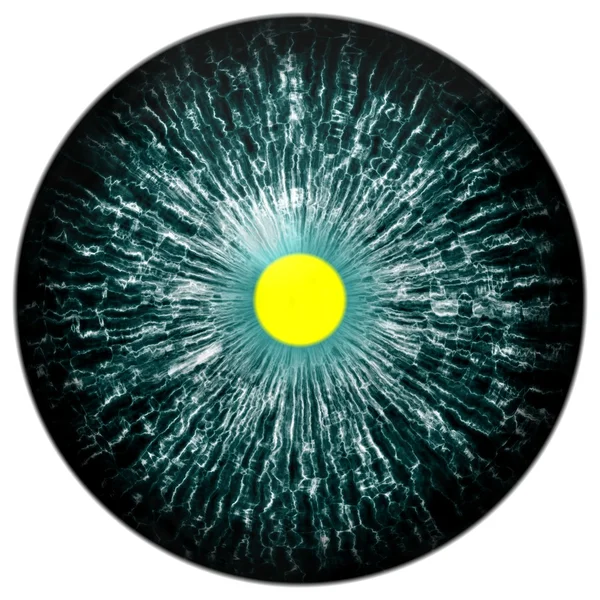 Ojo de animal verde azul con pupila abierta y retina de color amarillo brillante en el fondo. Iris de color oscuro alrededor de la pupila, vista de detalle en la bombilla del ojo —  Fotos de Stock