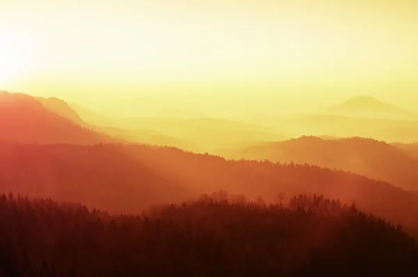 Paysage rêveur brumeux, doux lever de soleil orangé brumeux dans une belle vallée du parc suisse de Saxe. Forte colline augmentée par le brouillard . — Photo