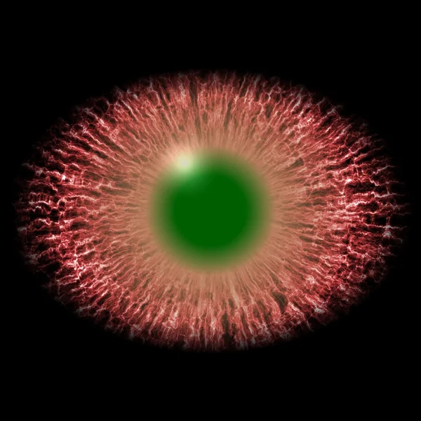 Isolated animal eye.  Brown iris around pupil,  green pupil and bright green retina. — Stock Photo, Image