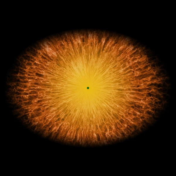 Ojo aislado. Ojo de monstruo con iris rayado y pupila verde oscura con retina verde . — Foto de Stock