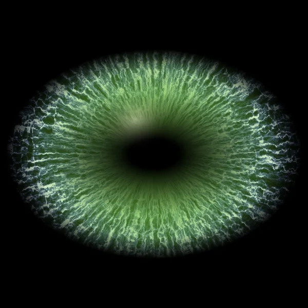 孤立した目。ストライプの虹彩と緑の網膜と暗い楕円瞳孔とモンスターの目. — ストック写真