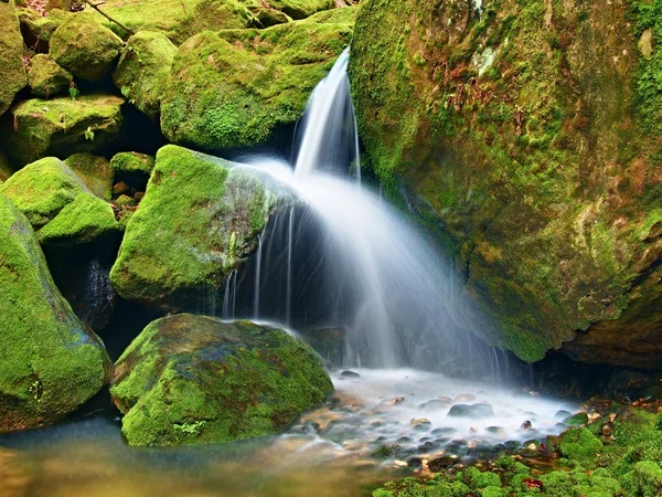 Rica cascada en un pequeño arroyo de montaña, el agua corre sobre rocas musgosas de basalto . — Foto de Stock