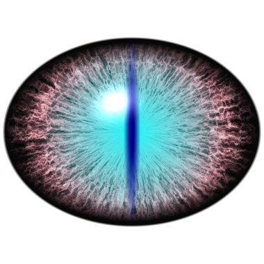 Isolated beast eye. Big eye with striped iris and dark elliptic pupil with colorful retina. clipart