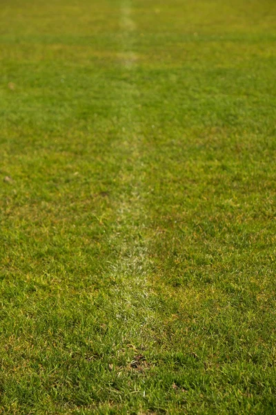 Detalj av korsade vita linjer på utomhus fotboll lekplats. Detalj av raderna i en fotbollsplan. — Stockfoto