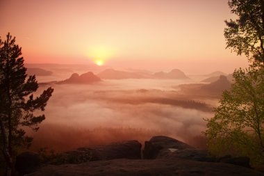 Sunrise in a beautiful mountain of Czech-Saxony Switzerland. Sandstone peaks increased from foggy background, the fog is orange due to sun rays. clipart