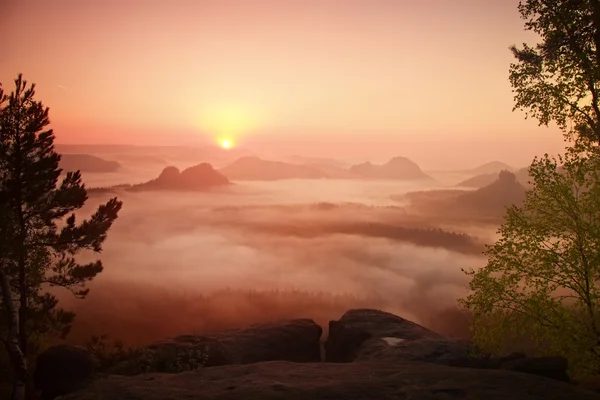 Sunrise in a beautiful mountain of Czech-Saxony Switzerland. Sandstone peaks increased from foggy background, the fog is orange due to sun rays. — Stock Photo, Image