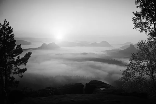 View into deep misty valley in Saxon Switzerland. Sandstone peaks increased from foggy background. Black and White picture. — Stock Photo, Image