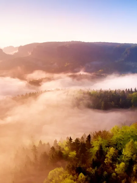 美しいチェコ山ザクセン スイスの日の出。砂岩のピーク霧の背景から増加し、霧がオレンジ色の太陽光線のため. — ストック写真