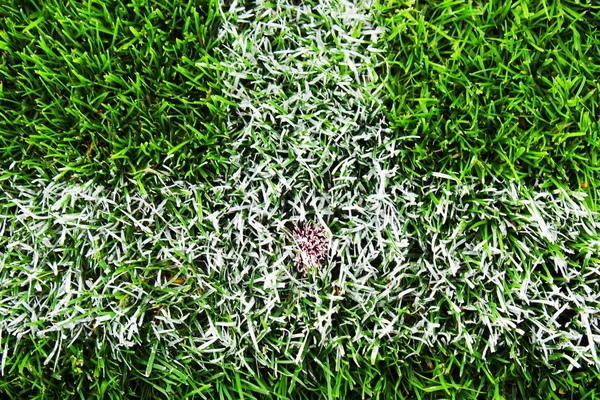 Detalj av korsade vita linjer på utomhus fotboll lekplats. Detalj av raderna i en fotbollsplan. — Stockfoto