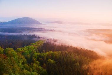 puslu daybreak güzel Hills. hills doruklarına sisli arka çıkmış, sis sarı ve turuncu güneş ışınları nedeniyle. sis, ağaçlar arasında sallanan.