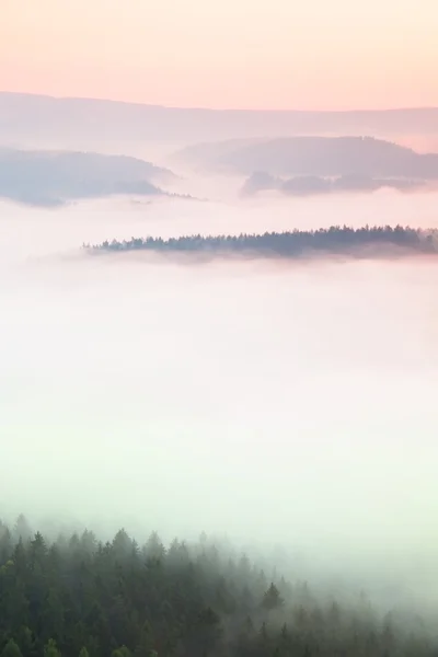 Nebliger Tagesanbruch in einem wunderschönen Hügelland. Die Gipfel der Hügel ragen aus dem nebligen Hintergrund, der Nebel ist gelb und orange durch die Sonnenstrahlen. — Stockfoto