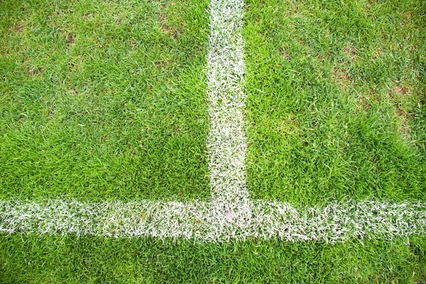 Kruis van geschilderde witte lijnen op natuurlijke voetbal gras. Groene kunstgras textuur. Stockfoto