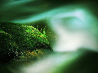 Big abandoned boulder covered by fresh green moss in foamy water of mountain river. Light blurred cold water with reflections, white whirlpools in rapids.   clipart