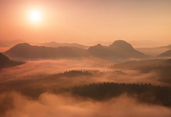 Alvorada vermelha. Amanhecer enevoado numa bela colina. Picos de colinas estão saindo do fundo nebuloso, o nevoeiro é vermelho e laranja devido aos raios solares . — Fotografia de Stock