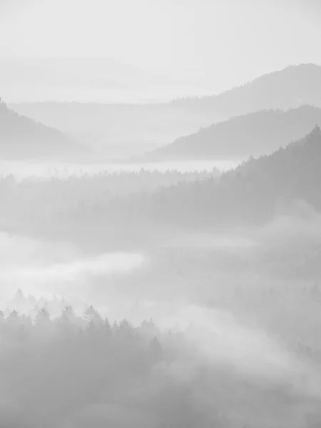 Mañana melancólica brumosa. Vista hacia un largo valle profundo lleno de niebla colorida de otoño. Paisaje de otoño al amanecer después de la noche lluviosa —  Fotos de Stock