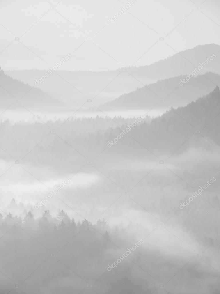 Misty melancholic morning. View into long deep valley full of autumn colorful mist. Fall landscape within daybreak after rainy night