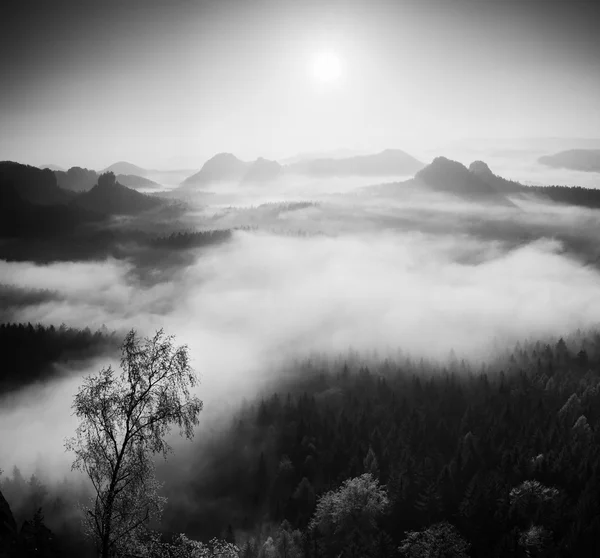 Outono nascer do sol em uma bela montanha dentro de inversão. Picos de colinas aumentados a partir de fundo nebuloso. Foto em preto e branco . — Fotografia de Stock