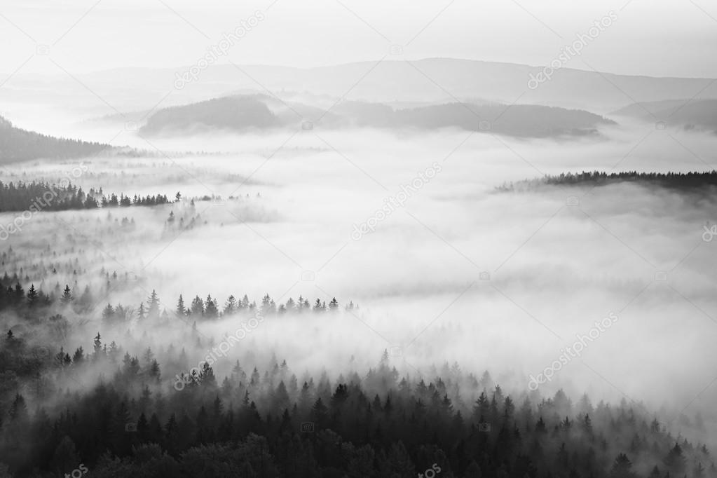 Autumn sunrise in a beautiful mountain within inversion. Peaks of hills increased from foggy background. Black and white photo. 