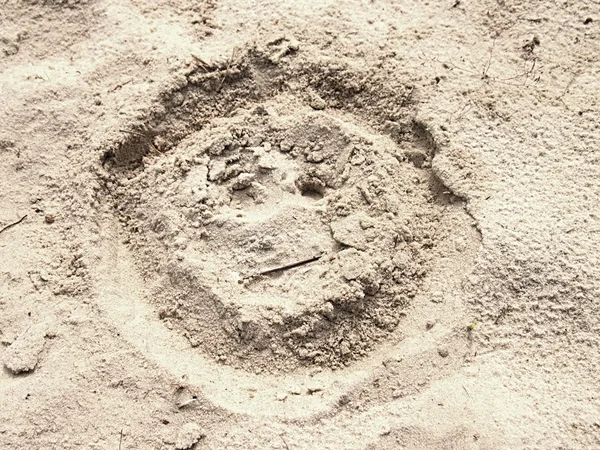 stock image Drawn smiley face in summer beach sand. Painted head in dray salt sand. 