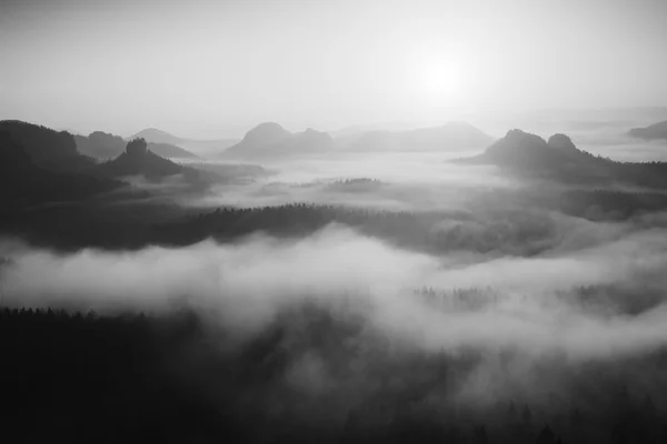 Misty daybreak in a beautiful hills. Peaks of hills are sticking out from foggy background, the fog is yellow and orange due to sun rays. The fog is swinging between trees. — Stock Photo, Image