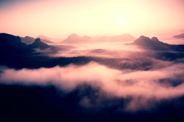 Misty daybreak in a beautiful hills. Peaks of hills are sticking out from foggy background, the fog is yellow and orange due to sun rays. The fog is swinging between trees. — Stock Photo, Image