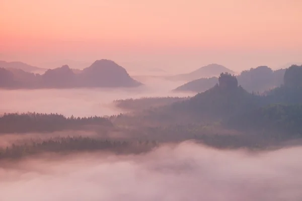 Herrlich roter Tagesanbruch. nebliger Tagesanbruch in einem wunderschönen Hügelland. Die Gipfel der Hügel ragen aus dem nebligen Hintergrund, der Nebel ist rot und orange aufgrund der Sonnenstrahlen. — Stockfoto