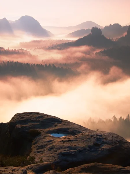 Dreamy misty landscape. Majestic mountain cut the lighting mist. Deep valley is full of colorful fog and rocky hills are sticking up to Sun. Magnificent autumn morning. — Stock Photo, Image