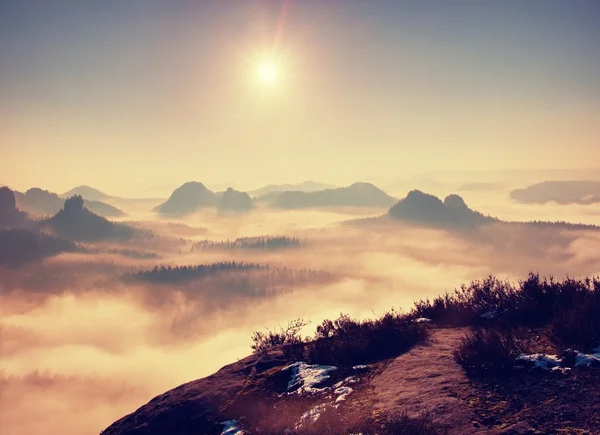 Paysage brumeux rêveur. Majestueuse montagne couper la brume d'éclairage. La vallée profonde est pleine de brouillard coloré et les collines rocheuses collent au soleil. Magnifique matin d'automne . — Photo