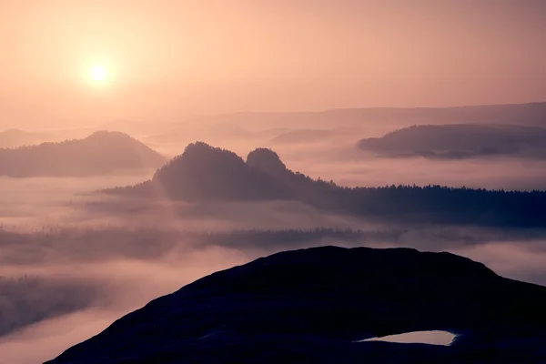 Dreamy misty landscape. Majestic mountain cut the lighting mist. Deep valley is full of colorful fog and rocky hills are sticking up to Sun. Magnificent autumn morning. — Stock Photo, Image