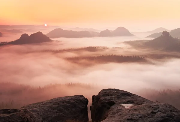 Drömmande dimmiga landskap. majestätiska berg skär belysning dimman. djup dal är full av färgglada dimma och klippiga bergen sticker till solen. magnifika höst morgon. — Stockfoto