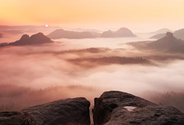 Paisagem nebulosa e sonhadora. Majestoso montanha cortou a névoa de iluminação. Vale profundo está cheio de nevoeiro colorido e colinas rochosas estão aderindo ao sol. Magnífica manhã de outono . — Fotografia de Stock