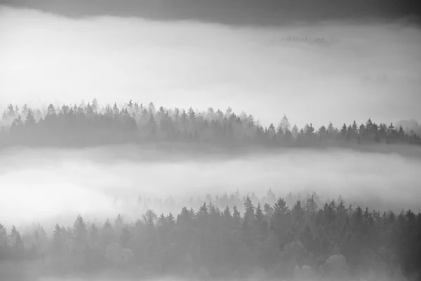 Herfst zonsopgang in een mooie berg binnen inversie. Pieken van heuvels verhoogd van mistige achtergrond. Zwart-wit foto. — Stockfoto