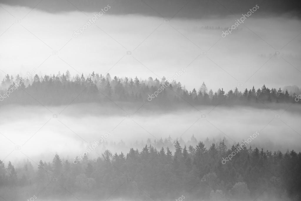 Autumn sunrise in a beautiful mountain within inversion. Peaks of hills increased from foggy background. Black and white photo. 