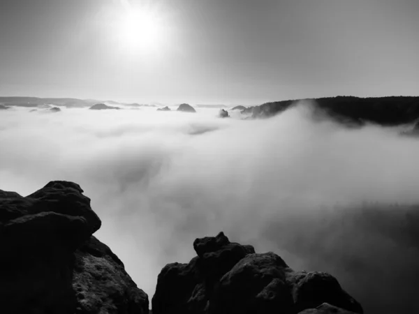 View into deep misty valley in Saxon Switzerland. Sandstone peaks increased from fog Black and White picture. — Stock Photo, Image