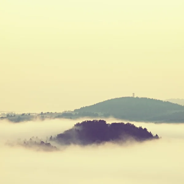 Amanecer brumoso sobre un valle. Las colinas del bosque aumentaron de niebla, la niebla se colorea a azul, oro y naranja . — Foto de Stock