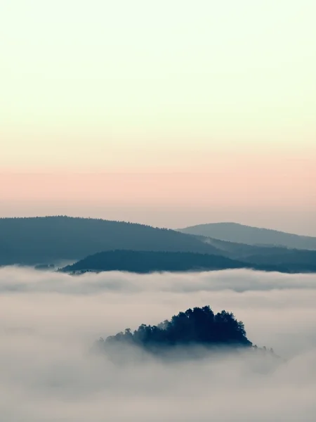 Nebliger Sonnenaufgang über einem Tal. Waldhügel vermehrt aus Nebel, der Nebel ist blau, gold und orange gefärbt. — Stockfoto